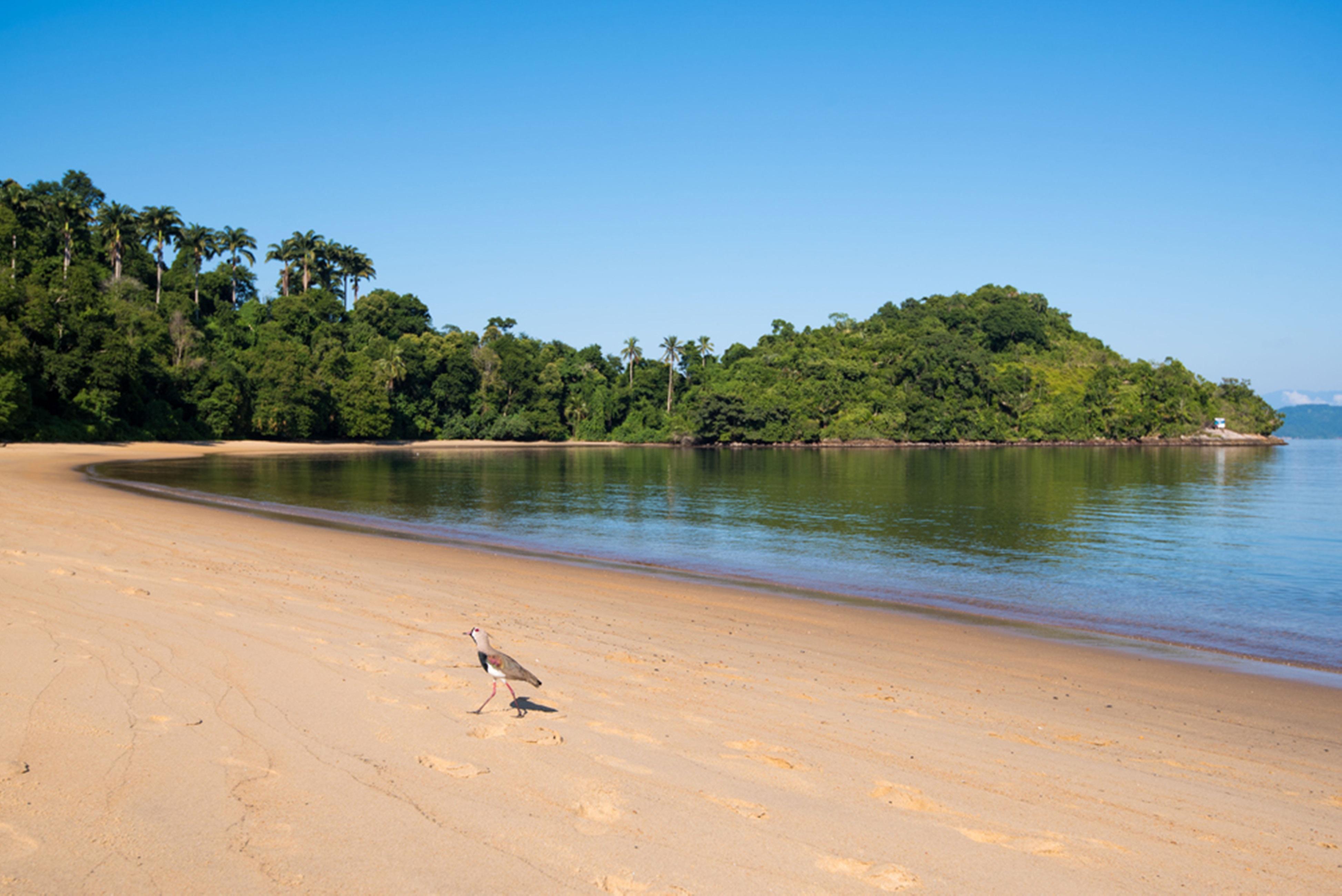 Vila Gale Eco Resort Angra Angra dos Reis Bagian luar foto Beach at the park